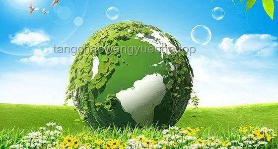 世界各国主食未来趋势：多样化与绿色化并进