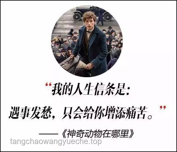 “哪句影视台词难忘至今”案例研究