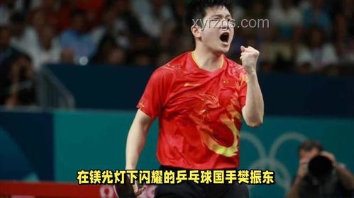 奥运乒乓球决赛汗量差异研究：莫雷加德与樊振东对比