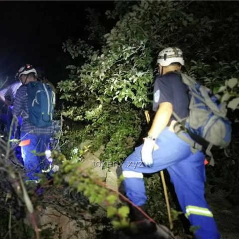 雨夜登山悲剧：退休教授的最后一课